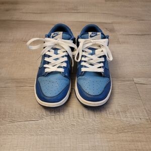 Nike Dual-Tone Blue Sneakers